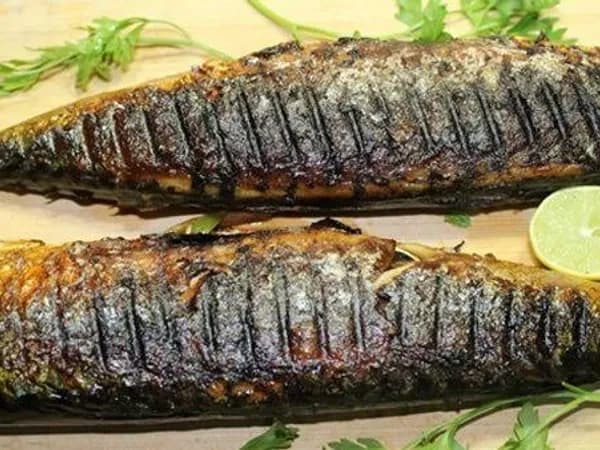 ماكريل ردة